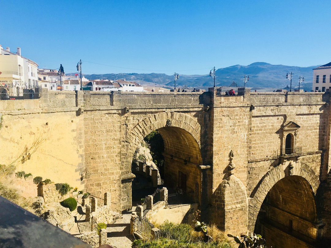 Malaga Private Day Trips景点图片