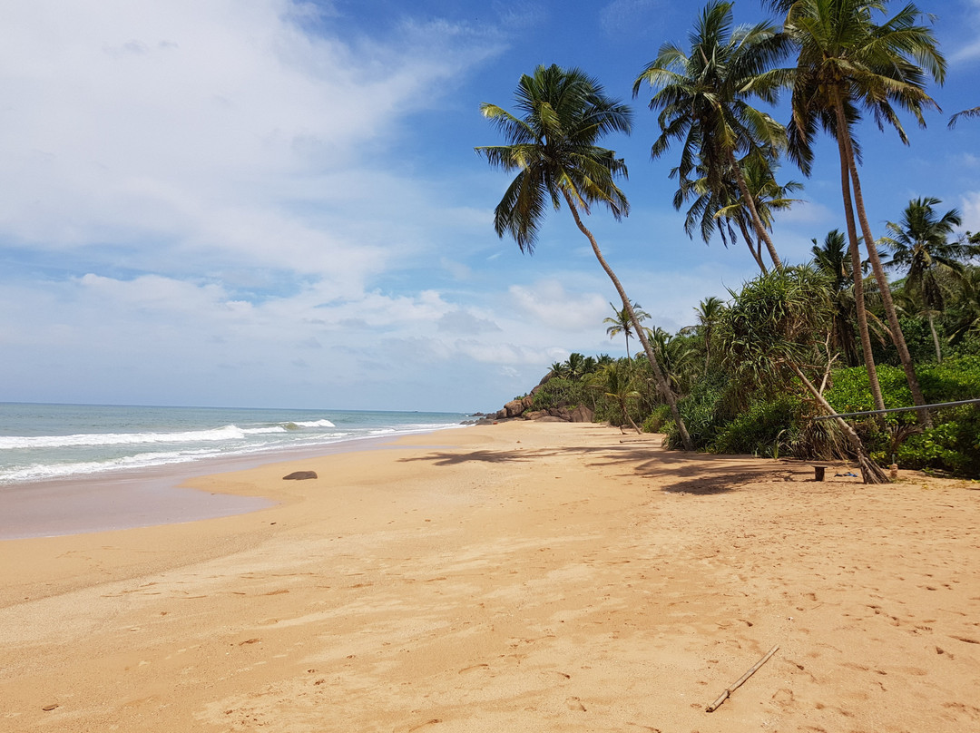 Apple Vacations Sri Lanka景点图片