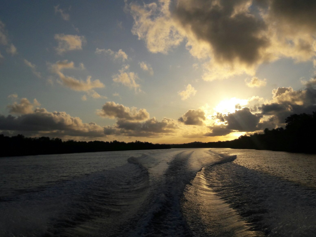 Biotur-Valenca必去景点