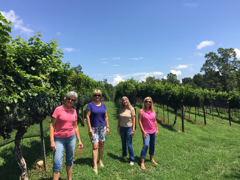 Drive for You Winery Tours-Blairsville必去景点