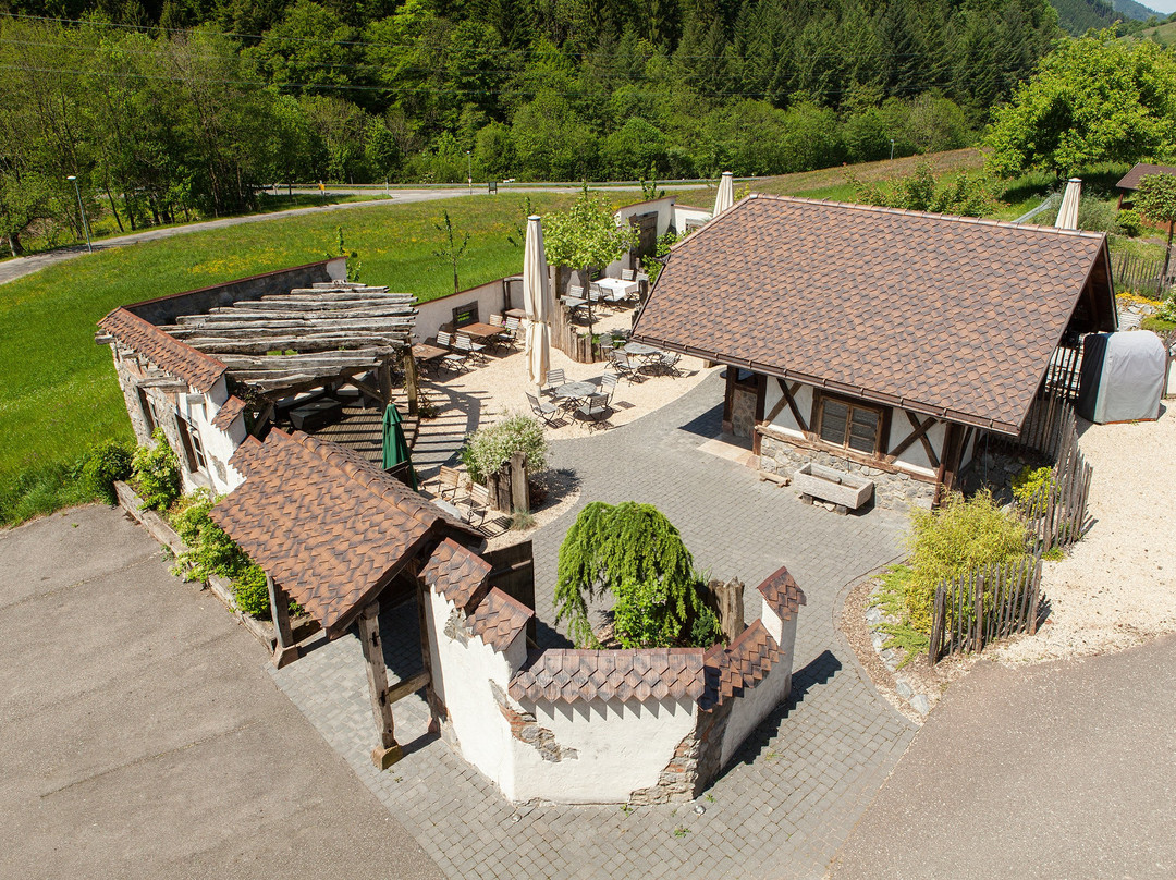 Landgasthaus Gruener Baum主图