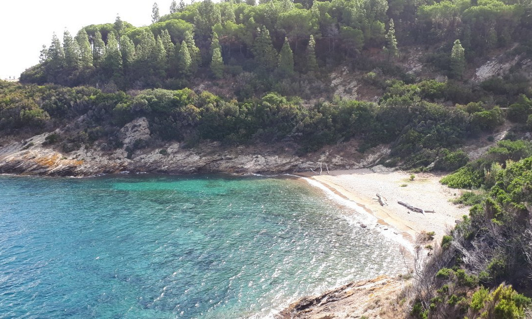 Spiaggia Di Buzzancone o Cera景点图片