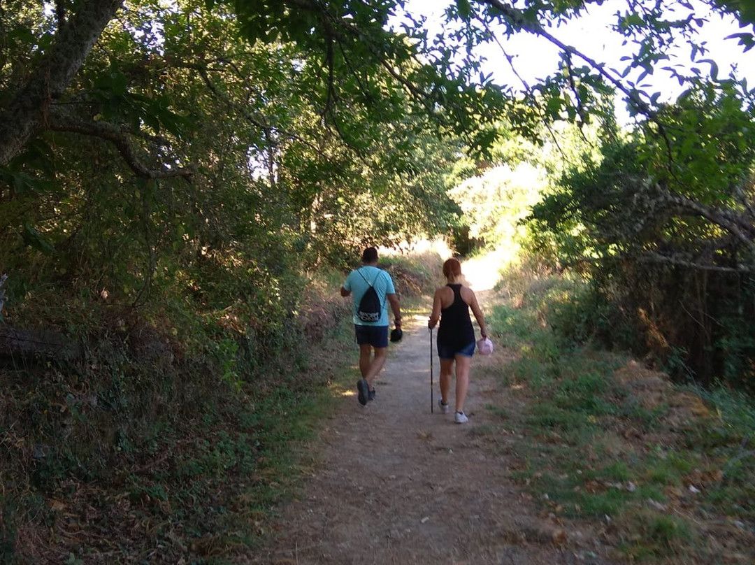 Ruta Del Pozo De Los Humos景点图片
