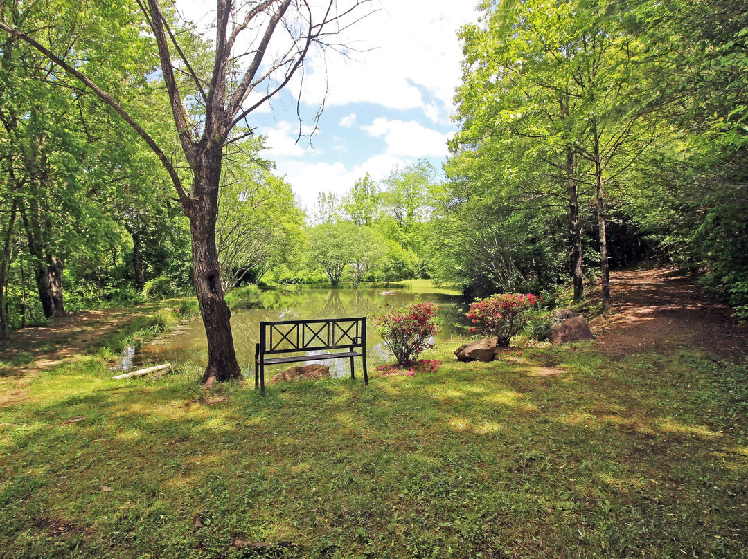 The Cabins at Copperhill
