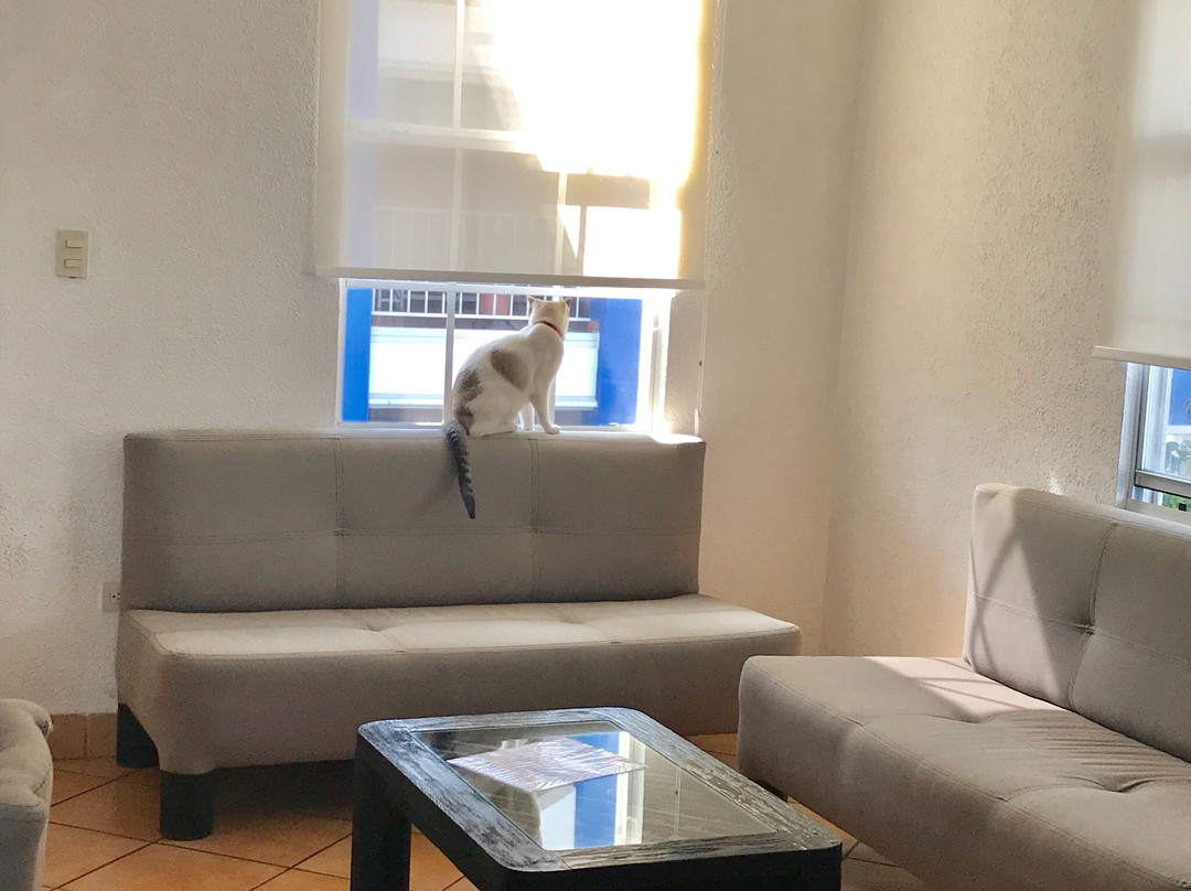 Villas Magnolias主图