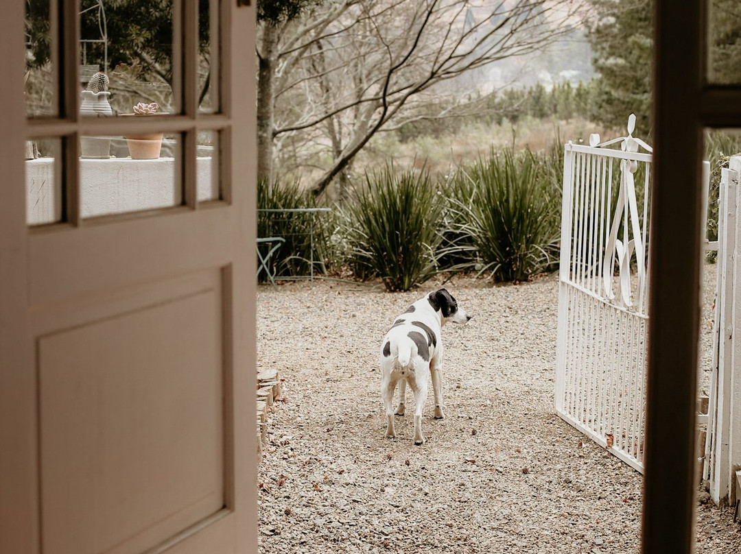 Abberley Guest House主图