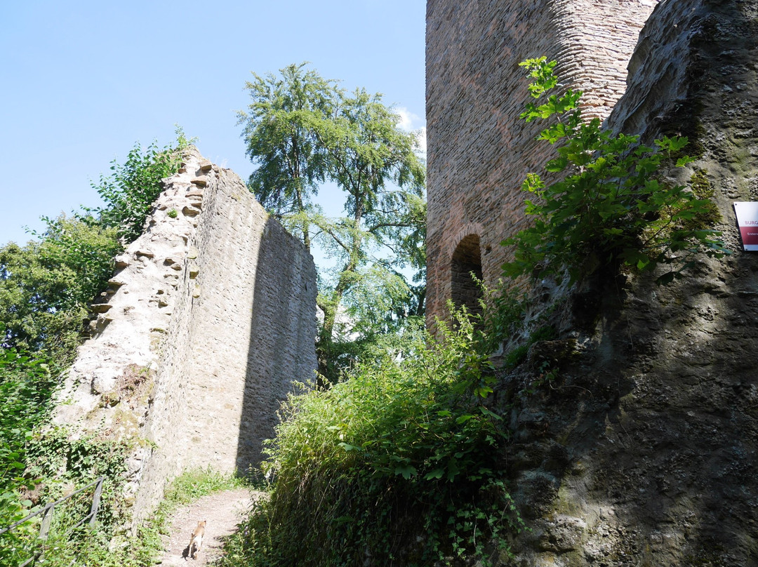 Burg Alt Wolfstein景点图片