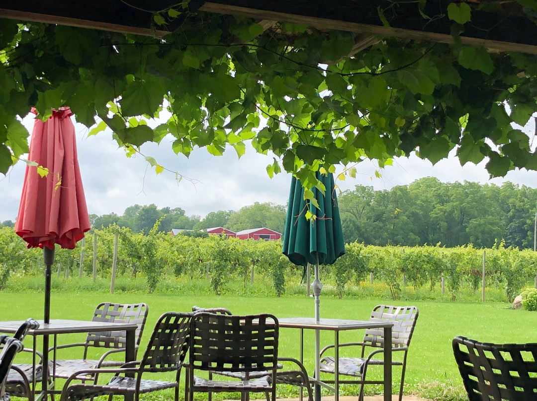 Knapp Winery景点图片