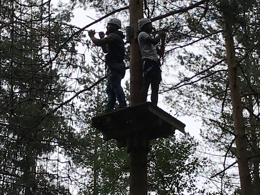 Oslo Klatrepark-奥斯陆必去景点