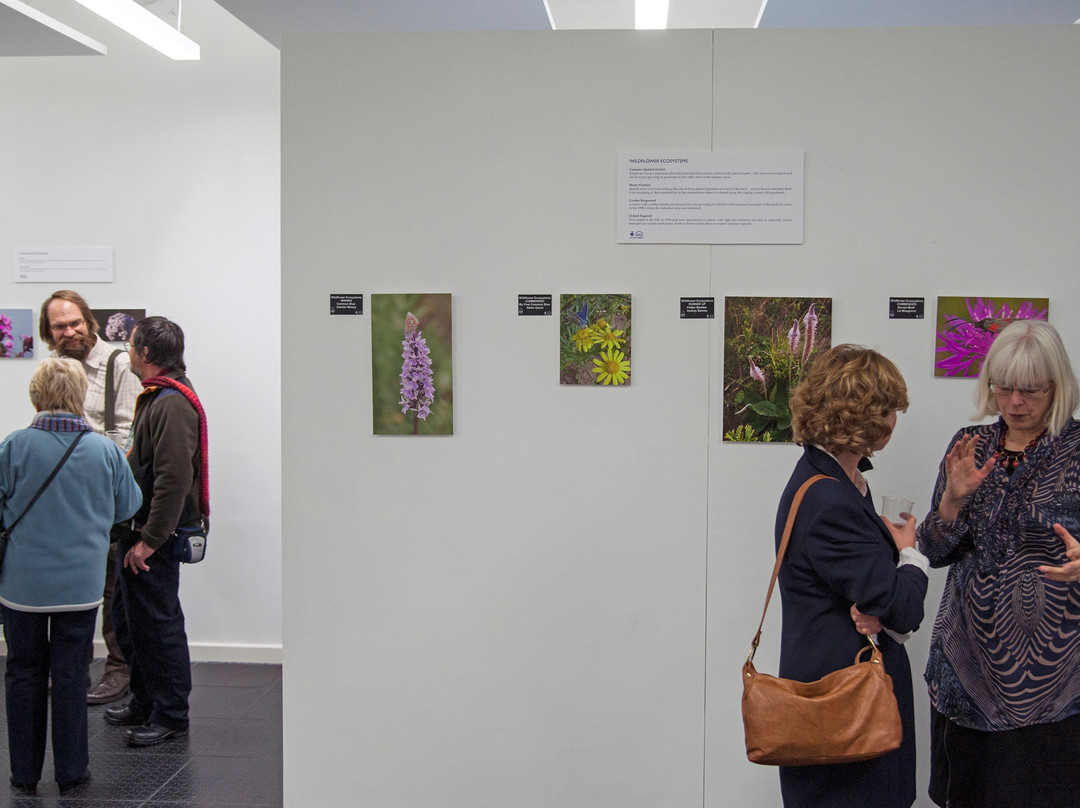 Palace Arts Gallery-Redcar必去景点