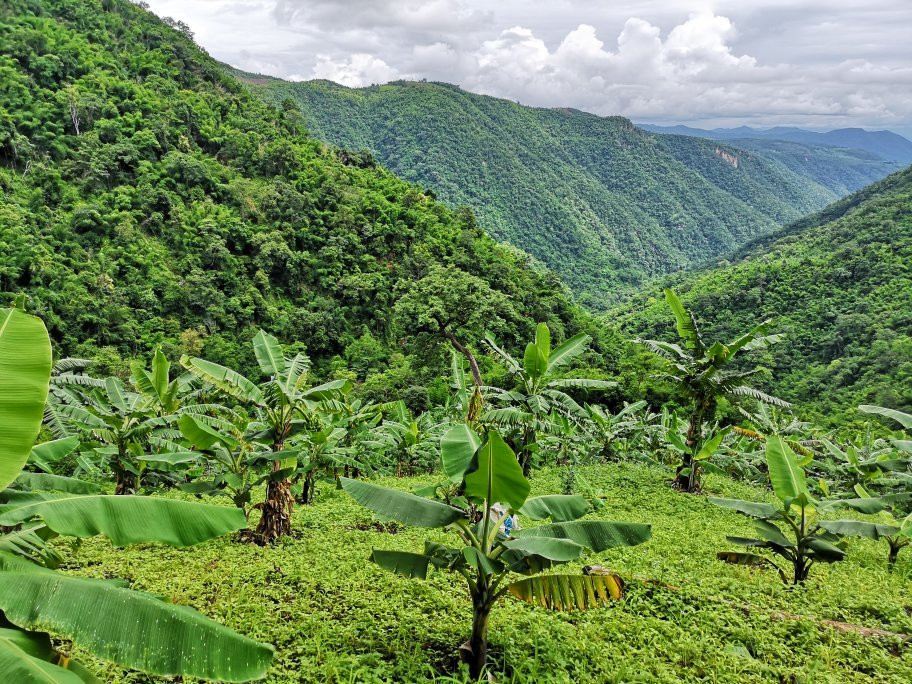 Pyin Oo Lwin Trek-彬乌伦必去景点