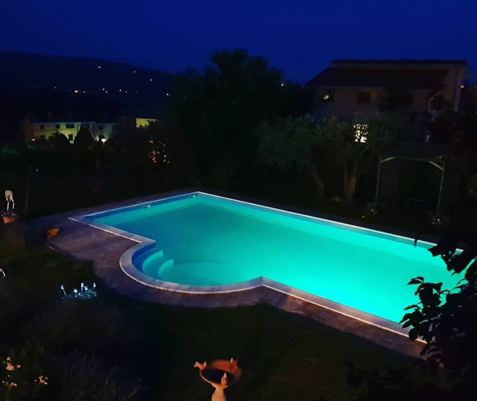 Il Belvederino主图