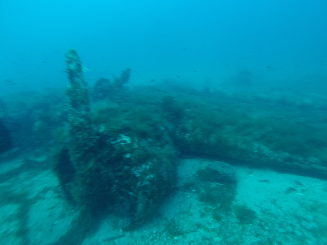Rosa dei Venti - Diving Center-巴勒莫必去景点