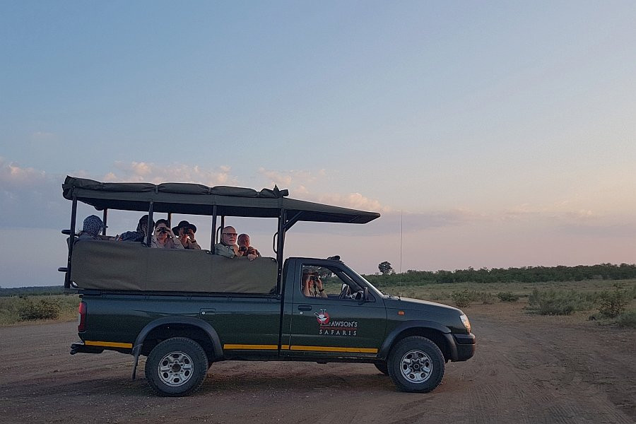 Lawson's Birding, Wildlife & Custom Safaris-尼斯普鲁特必去景点