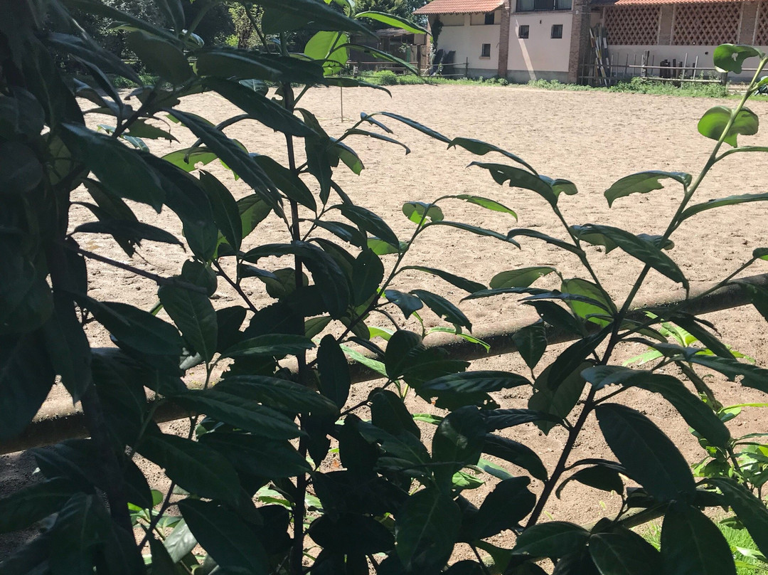 Centro Ippico Duca Dell'Adua-Robecco sul Naviglio必去景点