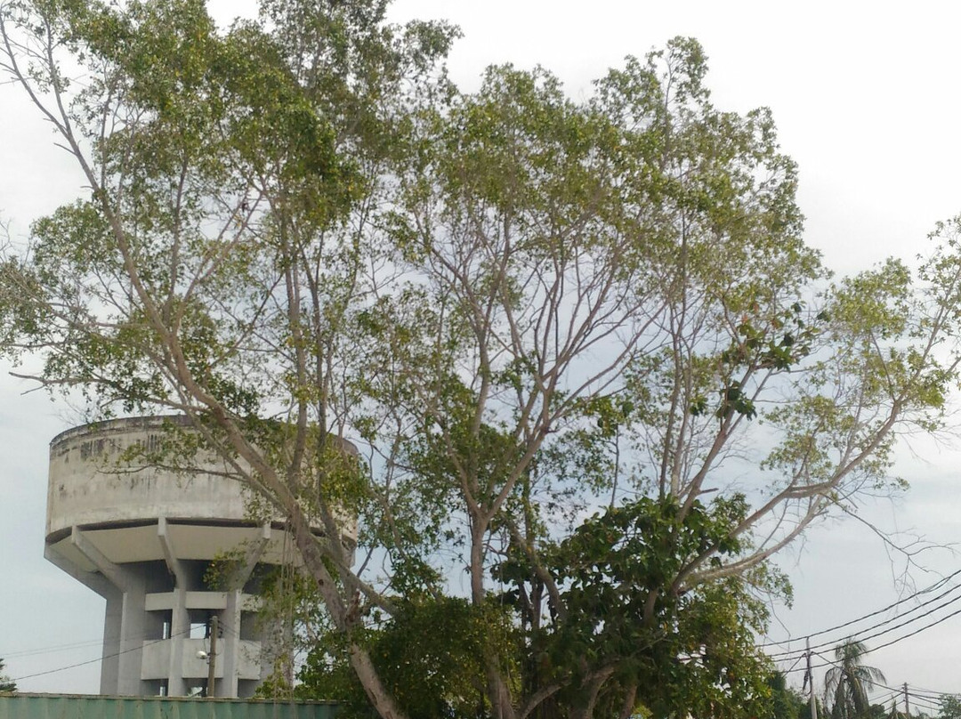 Chew Boo Kong Chinese Temple-Kuala Kurau必去景点