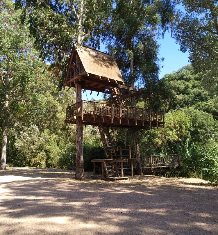 Casa sull'Albero Allai