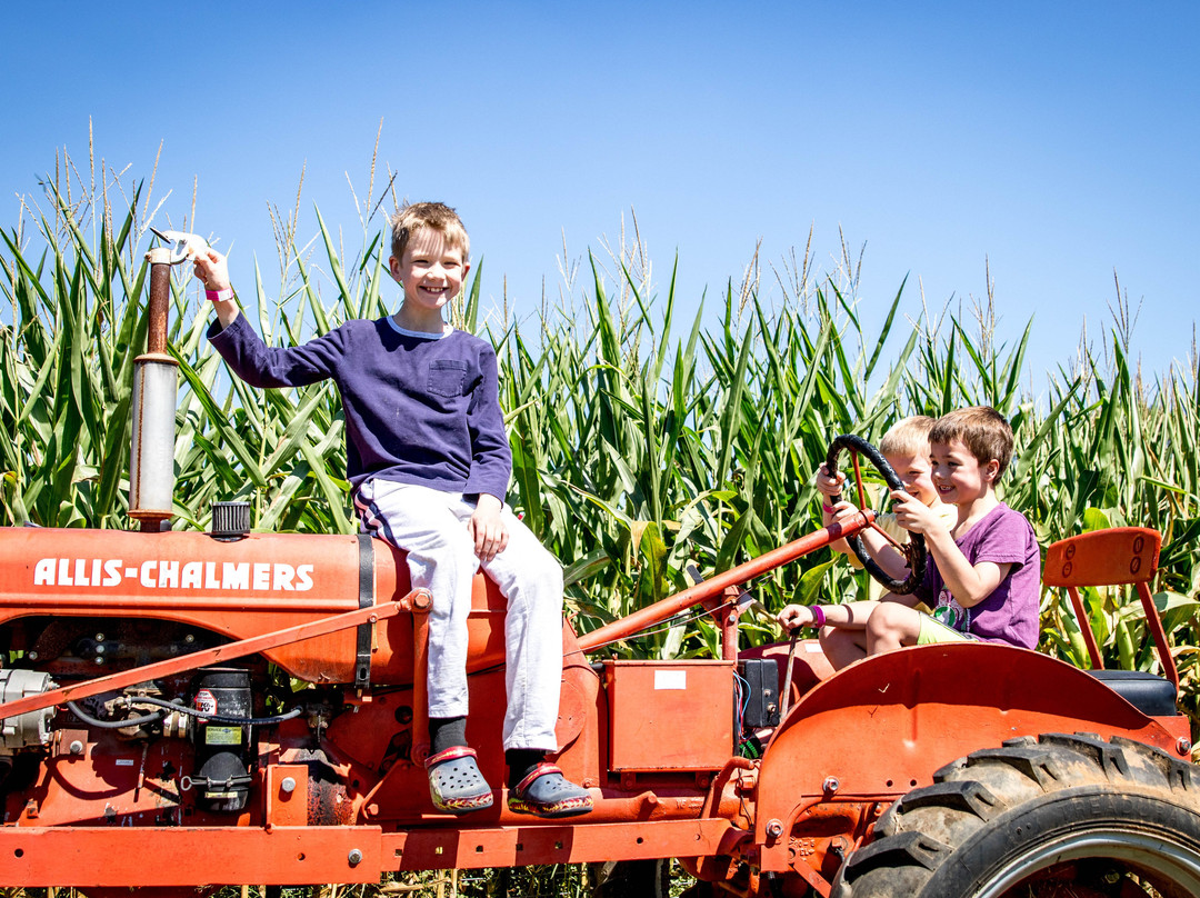 YesterLand Farm-Canton必去景点