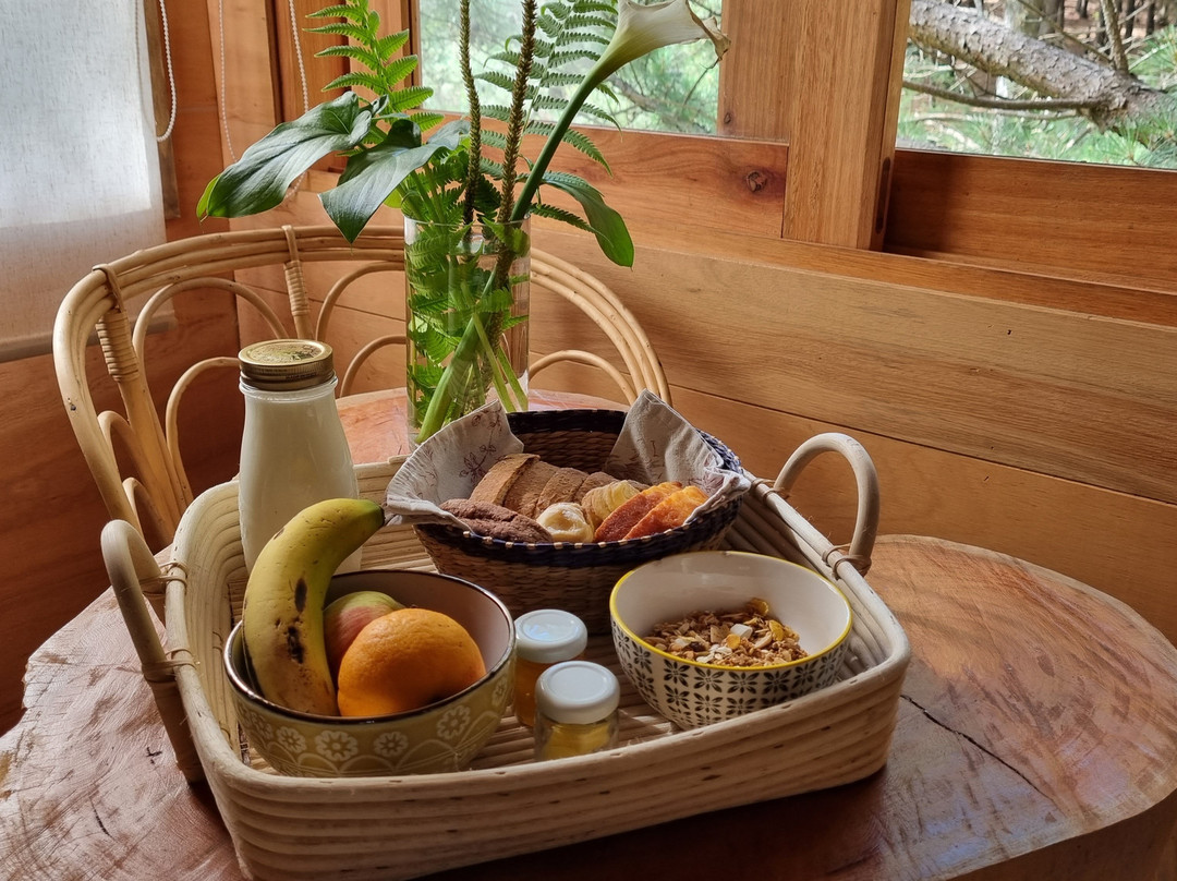 Treehouse Ecolodge