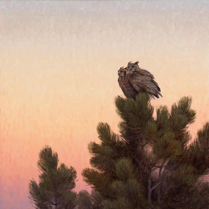 Jay Moore Studio-帕克必去景点