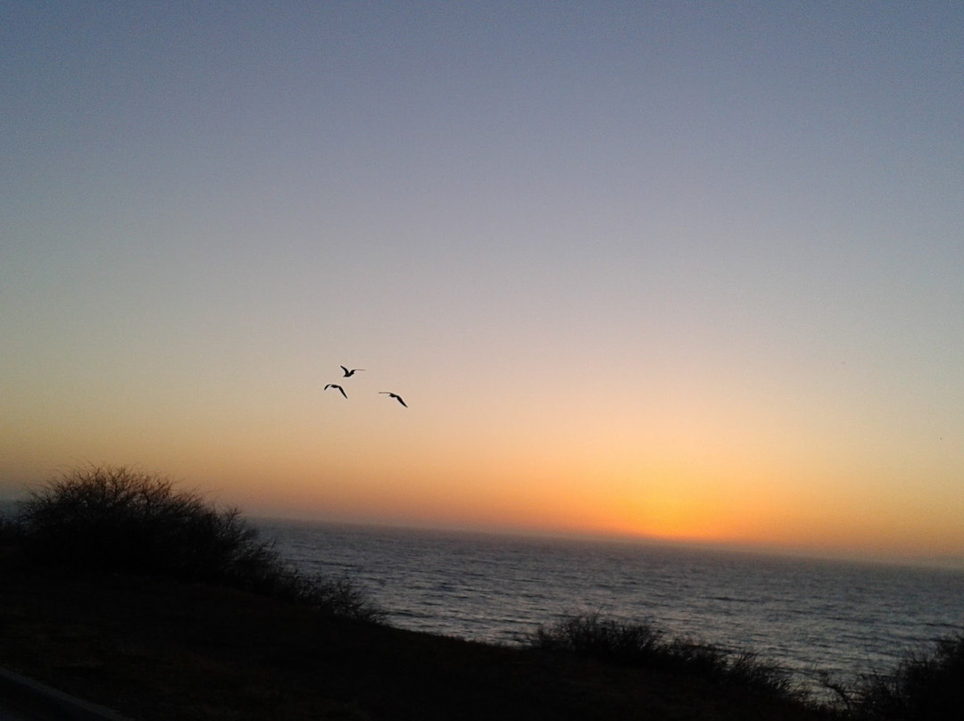 Zippy Shuttle-洛杉矶必去景点