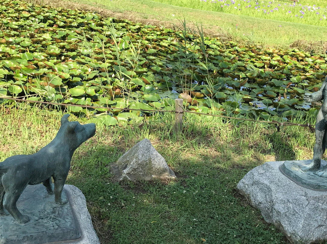 The Ushiku City Iris Garden-牛久市必去景点