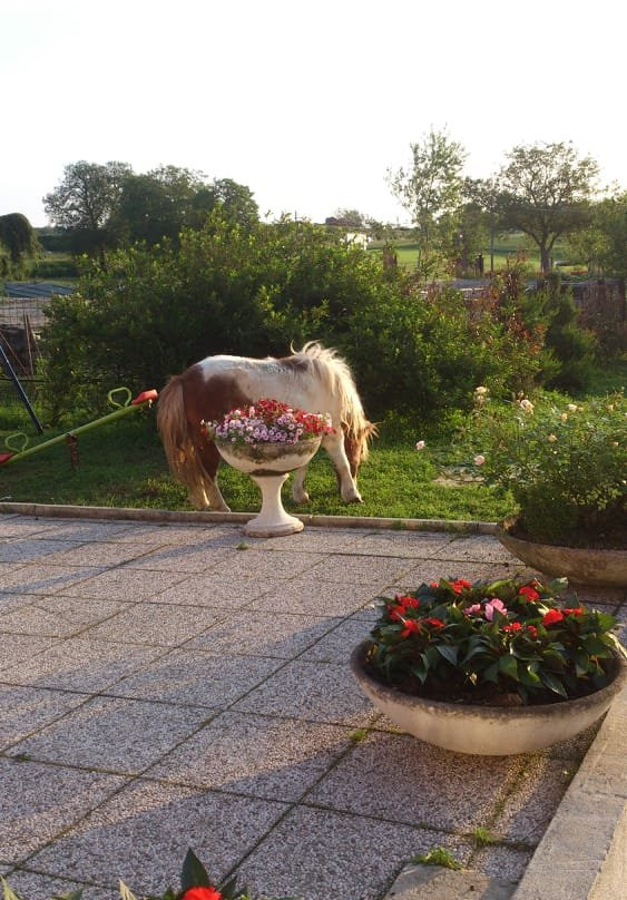Agriturismo Cascina Scola主图