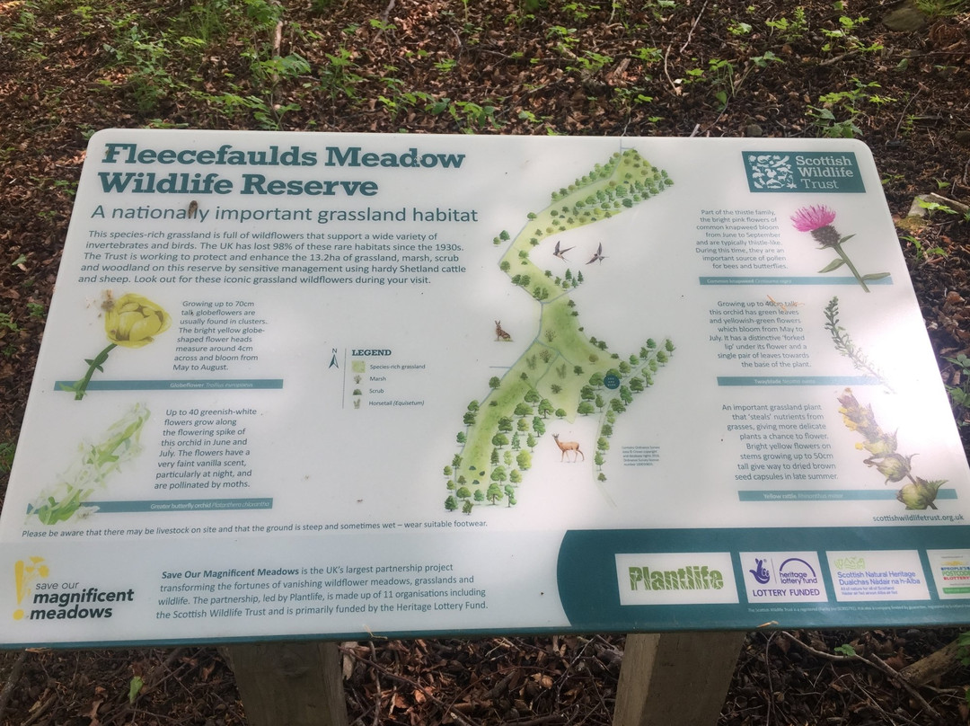 Fleecefaulds Meadow-Ceres必去景点