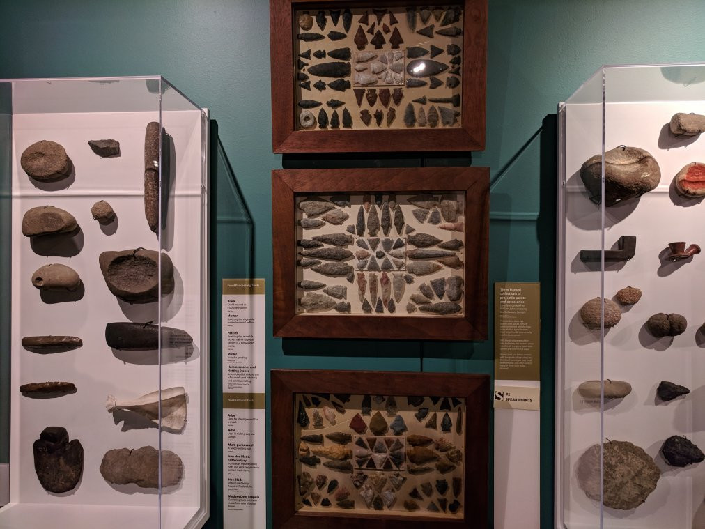 Sigal Museum景点图片