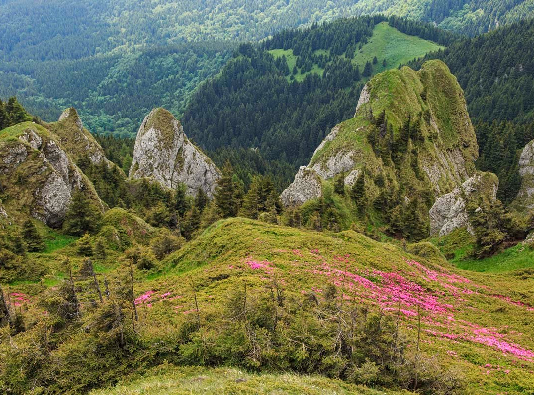Transylvania Tourism-布拉索夫必去景点
