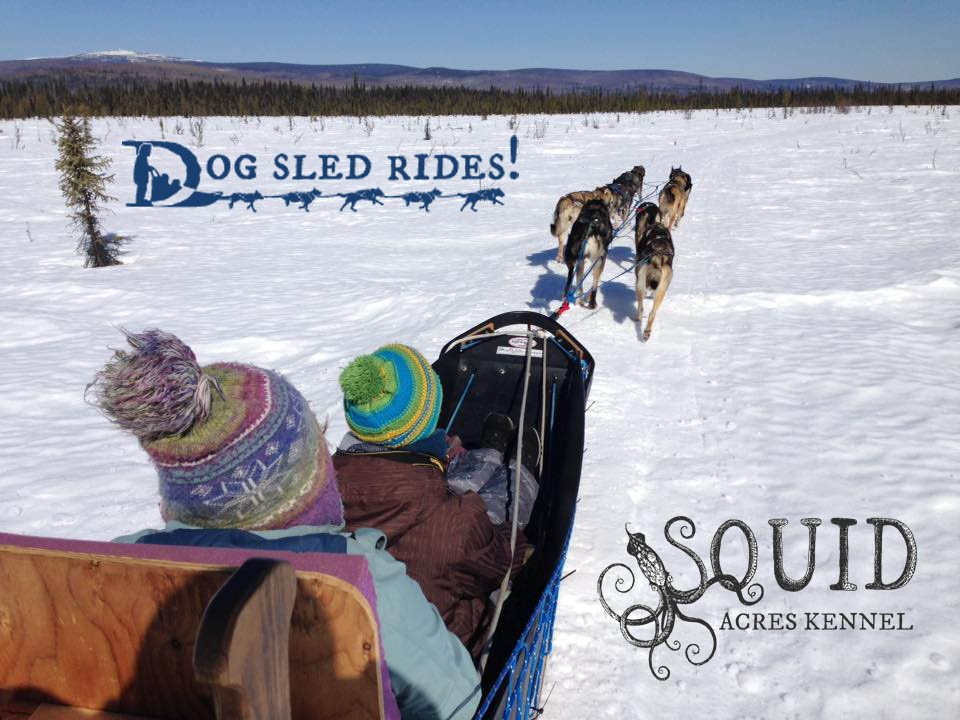 Squid Acres Kennel Dogsled Tours景点图片