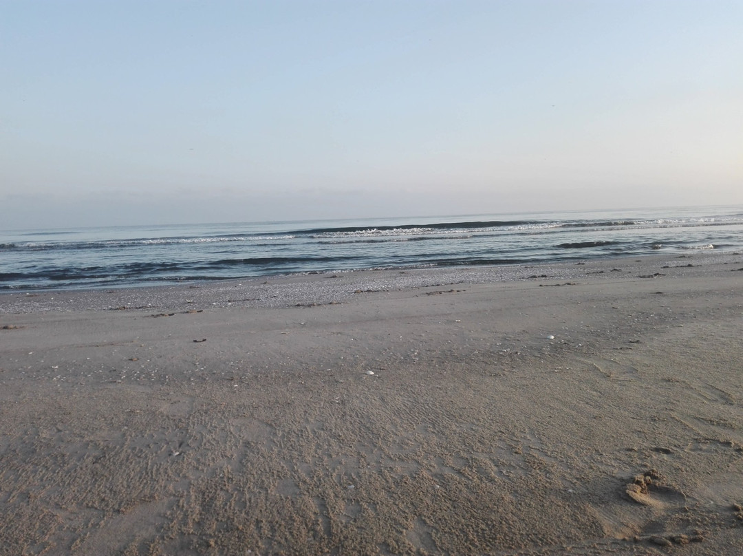 Idku旅游攻略图片