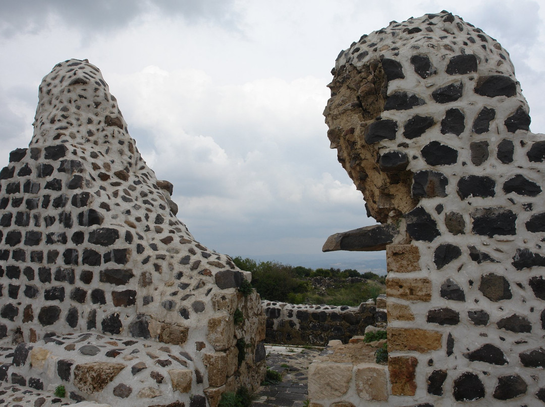 The Templar Fortress of Tartous景点图片