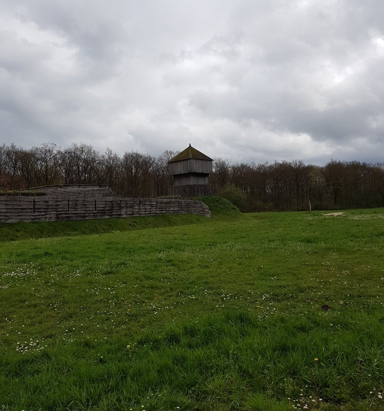 Chateau a Motte-Saint-Sylvain-d'Anjou必去景点