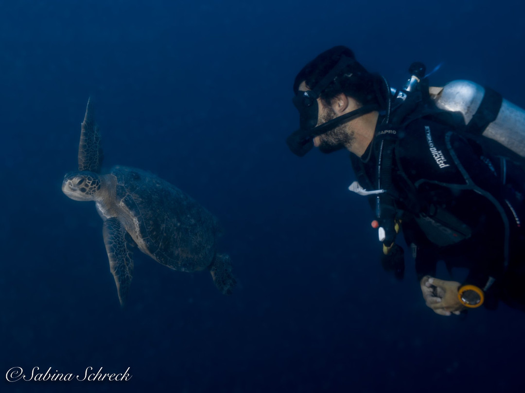 Panama Dive Center景点图片