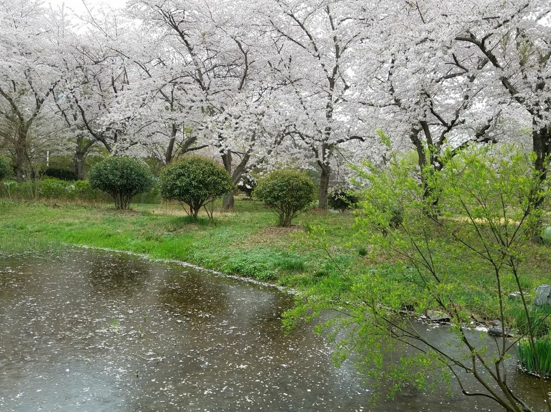 Jinhae NFRDI Environment Eco-park-昌原市必去景点