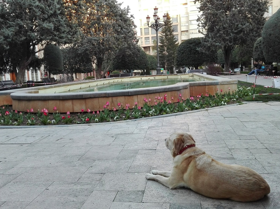Jardines de la Plaza del Altozano景点图片