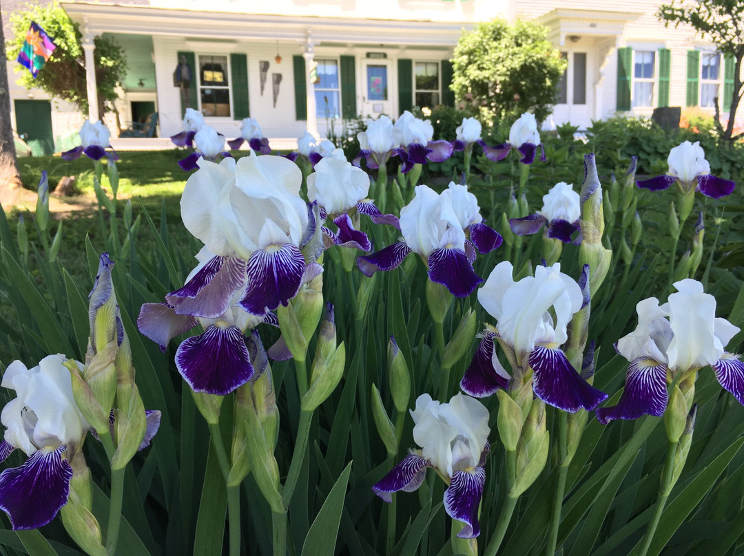 Marshfield Inn & Motel主图