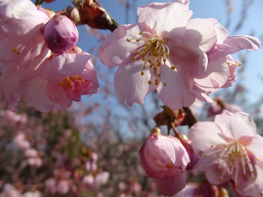 Ojigaoka Park-大津市必去景点