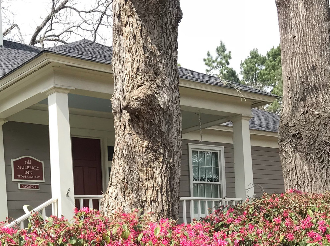 Old Mulberry Inn and Cottages主图