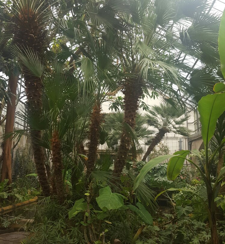 Palmenhaus Konstanz-康士坦茨必去景点