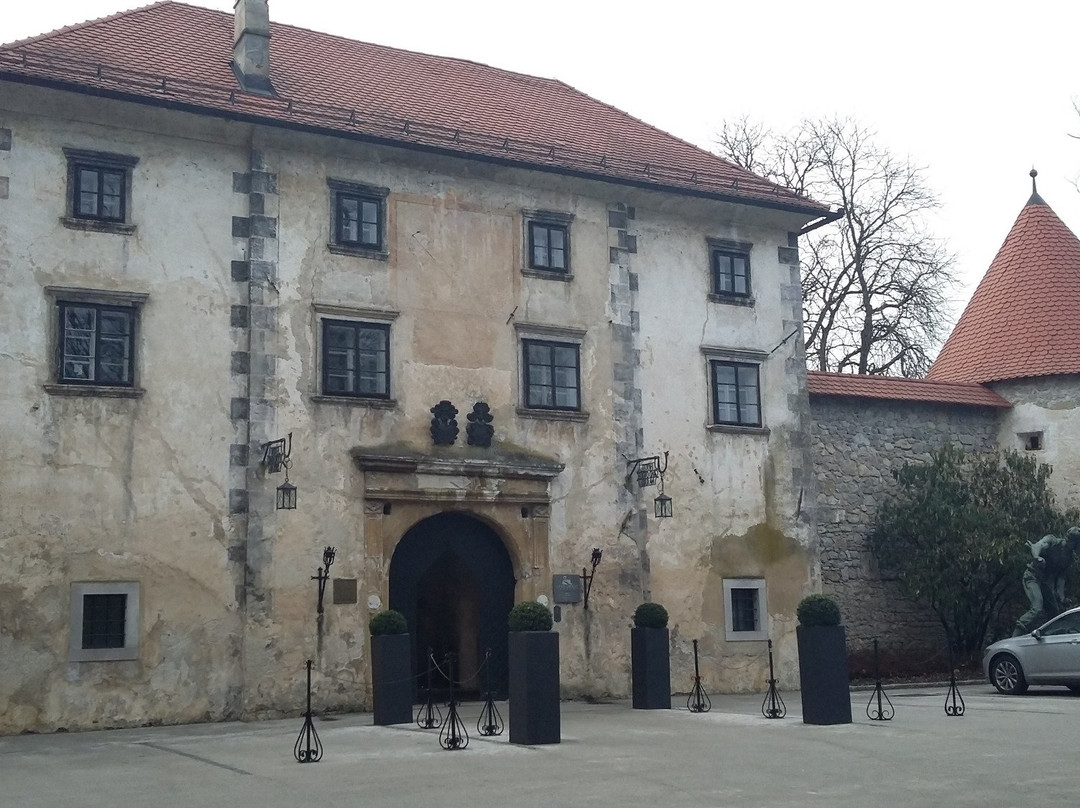 Hotel Sport, Otočec主图