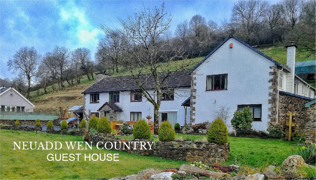Neuadd-Wen Country Guest House主图
