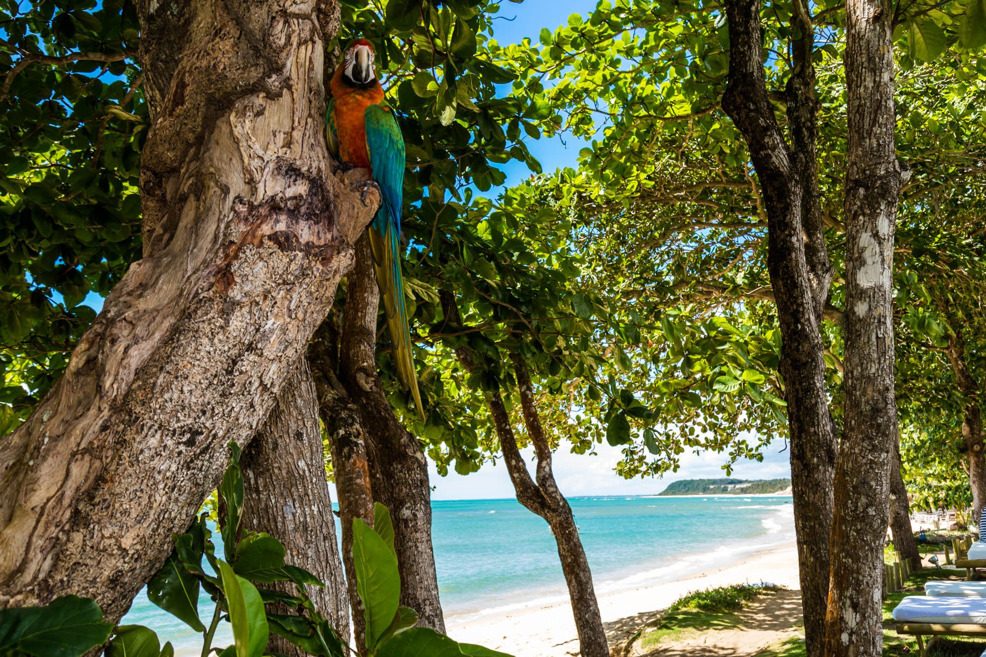 Pousada Enseada do Espelho-官方