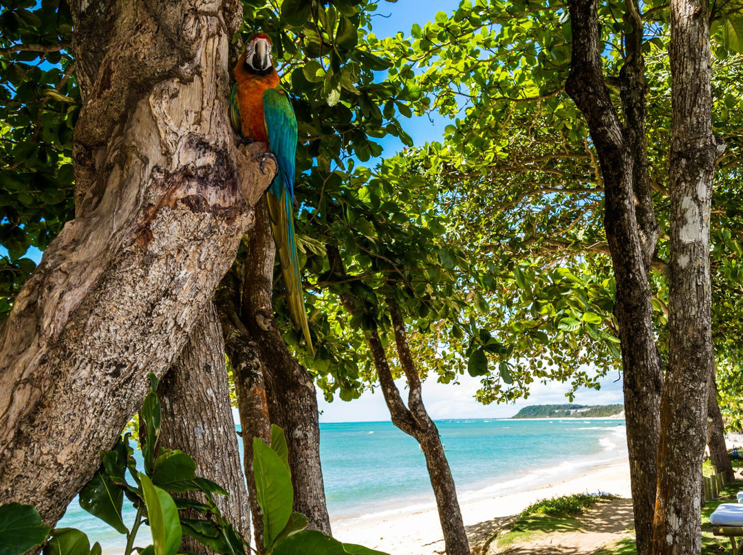 Pousada Enseada do Espelho主图