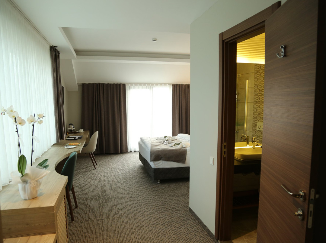 Hotel City Inegol主图