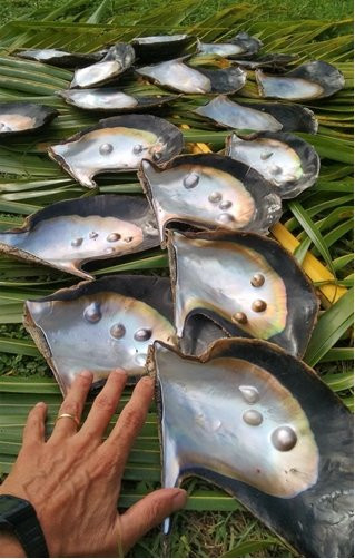 Utakalongalu Market-Neiafu必去景点