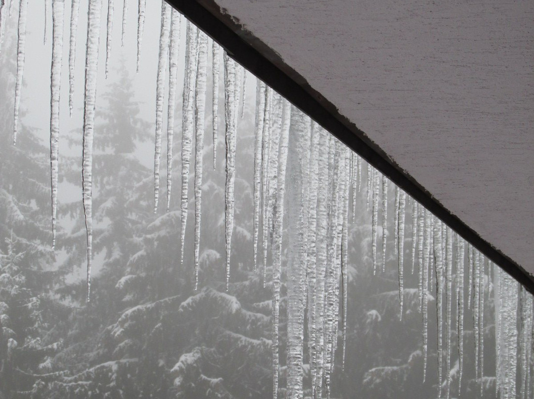 Sokolovci酒店住宿-Belmont Spa Hotel