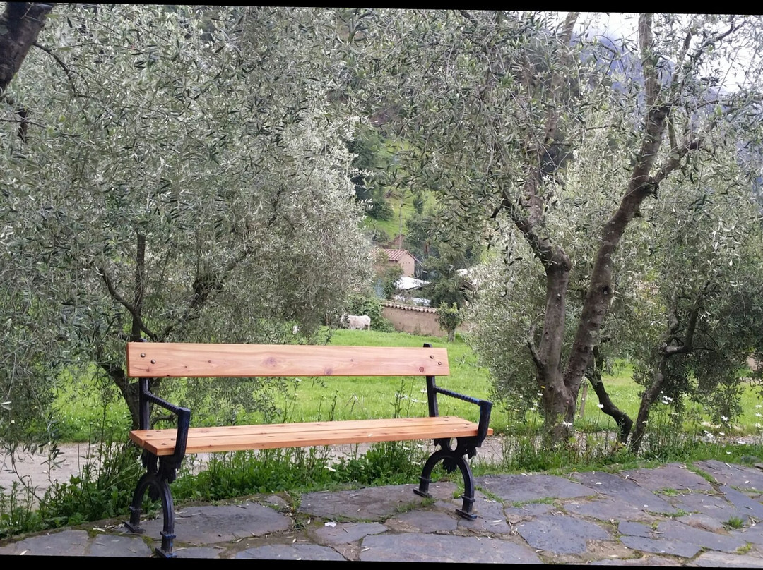 Plaza Mayor de Chacas-Chacas必去景点