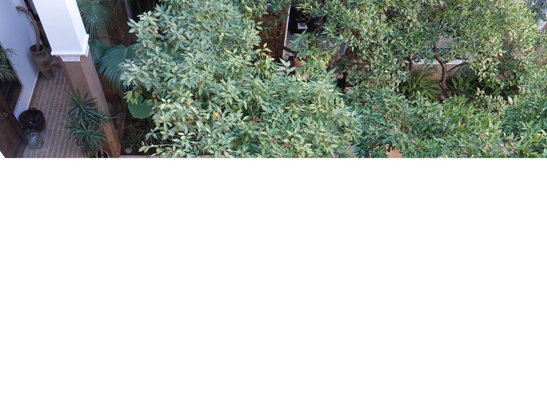 阿鲁萨里亚德酒店主图